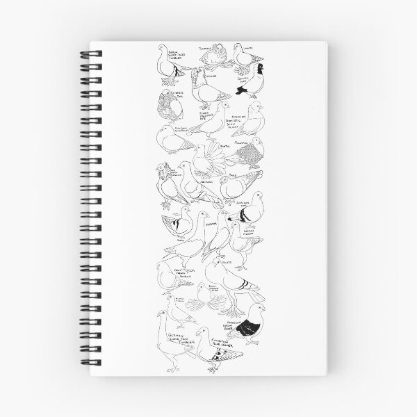 Item preview, Fancy Pigeons designed and sold by YourVagesty.