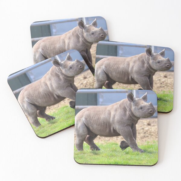 Item preview, Cría de rinoceronte designed and sold by Alan Sabatino Photography.