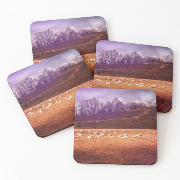 Item preview, Enjoying Their Moment In The Sun designed and sold by Jim Love.
