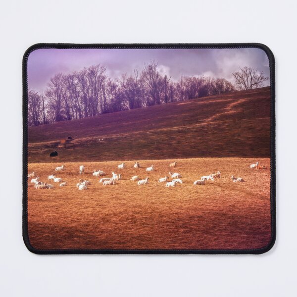 Item preview, Enjoying Their Moment In The Sun designed and sold by Jim Love.