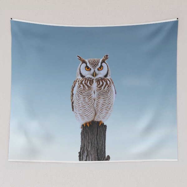 Item preview, the beauty of a solo owl designed and sold by Namelesssss458.