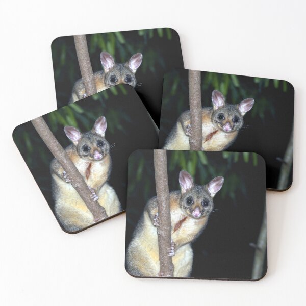 Item preview, Australian brushtail possum designed and sold by GeoPipics.