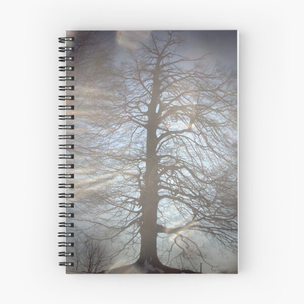 Item preview, 2015 Albero in controluce designed and sold by robertoferrero.