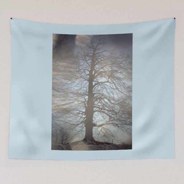 Item preview, 2015 Albero in controluce designed and sold by robertoferrero.
