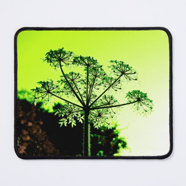 Item preview, Hedgerow designed and sold by amanda150771.