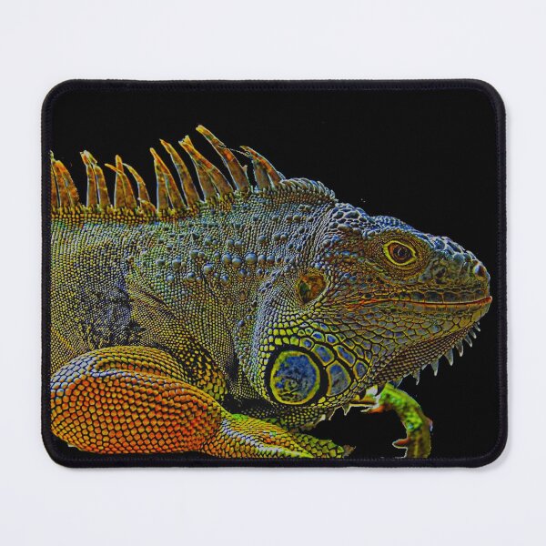 Item preview, MY IGUANA JUST CHILLIN designed and sold by THE AMERICAN TEEVANGELIST.