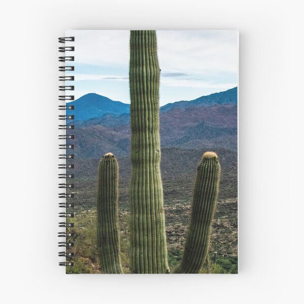 Item preview, Saguaro Cactus Photography | Cali Boho | Bossy Cat Home designed and sold by BossyCatHome.