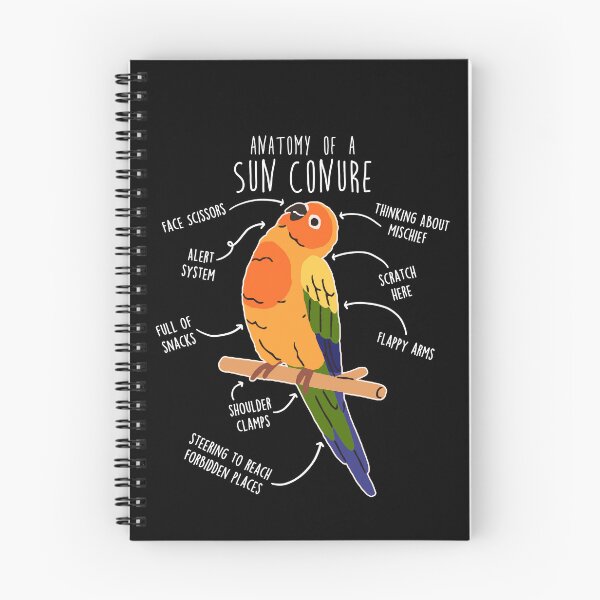 Item preview, Sun Conure Parrot Anatomy designed and sold by Clara Hollins.