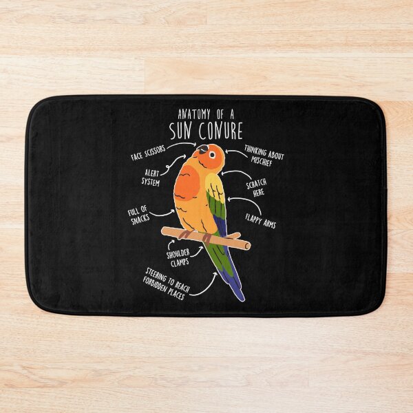 Item preview, Sun Conure Parrot Anatomy designed and sold by Clara Hollins.