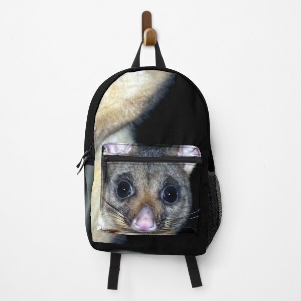Item preview, Australian brushtail possum designed and sold by GeoPipics.