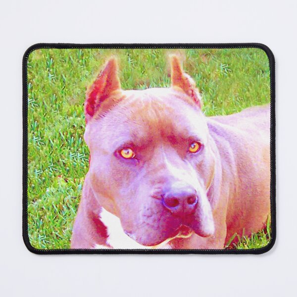 Item preview, Pit Bull Dog designed and sold by Carlo Varo.