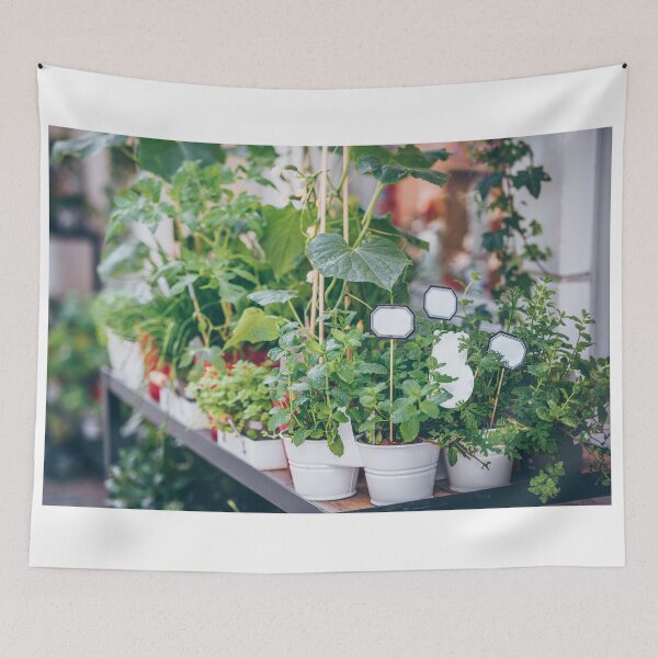 Item preview, Homegrown herbs seedling pots designed and sold by dvoevnore.