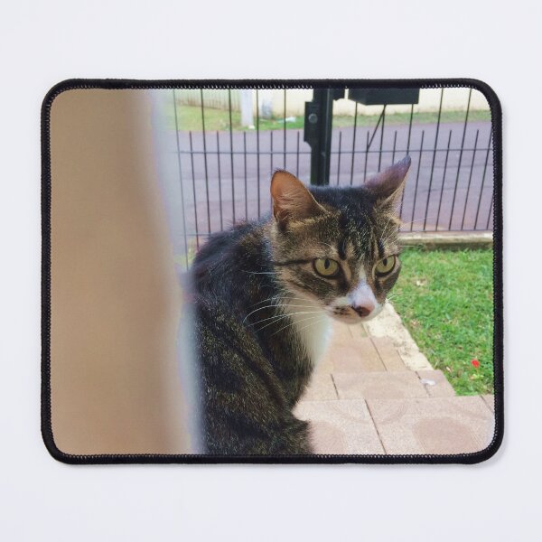 Item preview, Cat designed and sold by emillypaola.