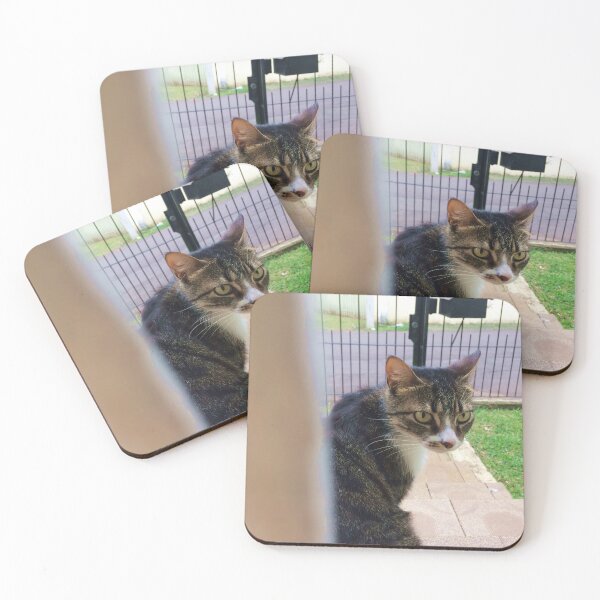 Item preview, Cat designed and sold by emillypaola.