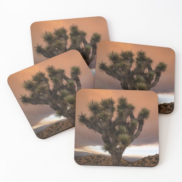 Item preview, Joshua Tree In The Smokey Apple Fire | Cali Boho | Bossy Cat Home designed and sold by BossyCatHome.