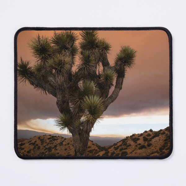 Item preview, Joshua Tree In The Smokey Apple Fire | Cali Boho | Bossy Cat Home designed and sold by BossyCatHome.