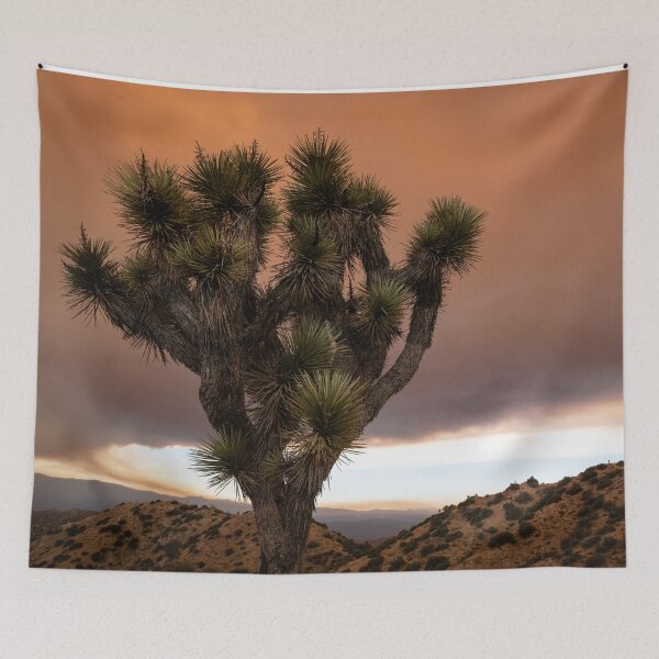 Item preview, Joshua Tree In The Smokey Apple Fire | Cali Boho | Bossy Cat Home designed and sold by BossyCatHome.