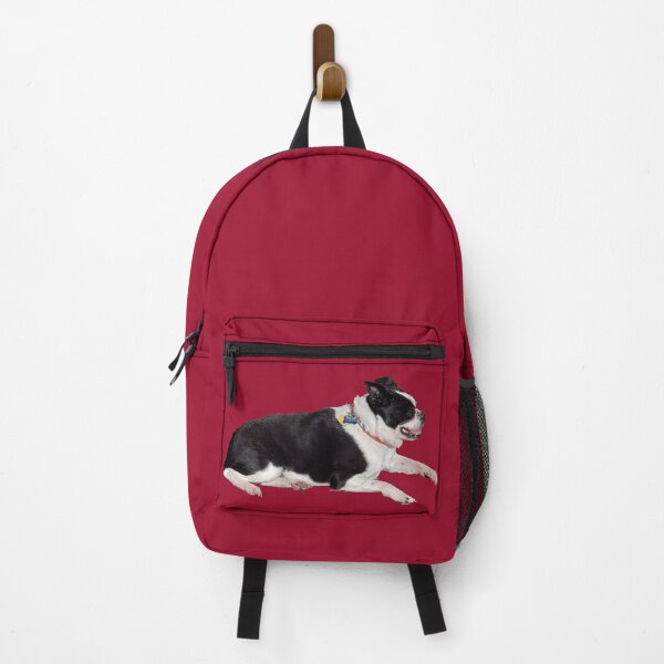 Item preview, Dottie The Boston Terrier (No Background) designed and sold by Hall-O-Gram.