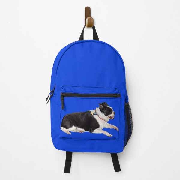 Item preview, Dottie The Boston Terrier (No Background) Blue designed and sold by Hall-O-Gram.