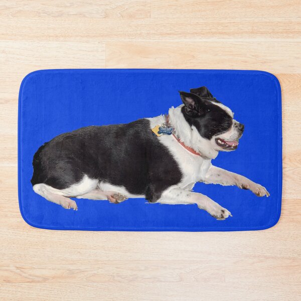 Item preview, Dottie The Boston Terrier (No Background) Blue designed and sold by Hall-O-Gram.