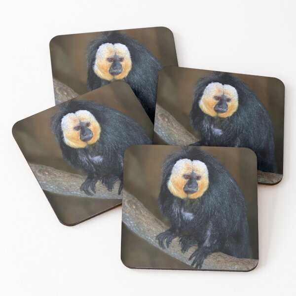 Item preview, Saki Monkey  designed and sold by Savannah Gibbs.