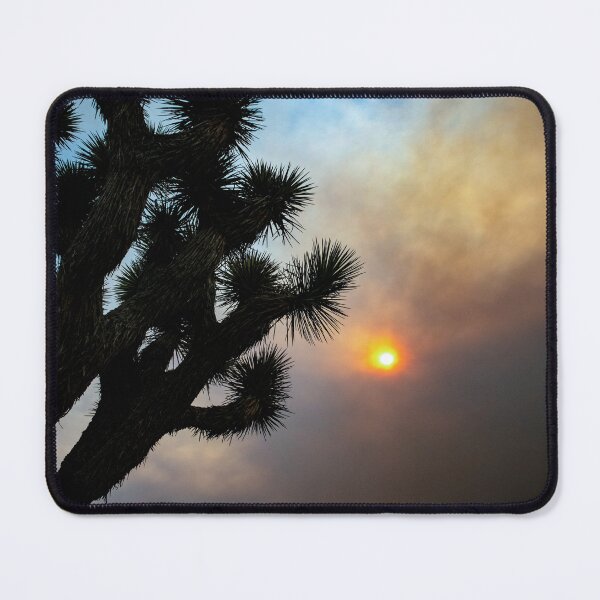 Item preview, Joshua Tree In The Evening Smokey Apple Fire | Cali Boho | Bossy Cat Home designed and sold by BossyCatHome.