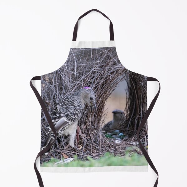 Item preview, Australian Native Birds - Great Bowerbird designed and sold by Ozjanette90.