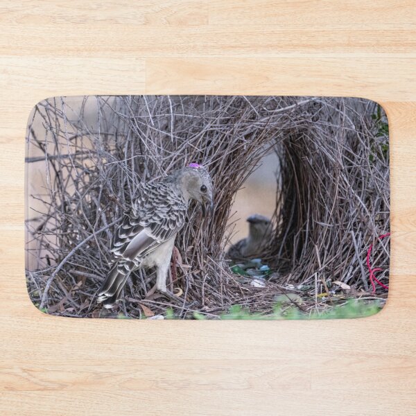 Item preview, Australian Native Birds - Great Bowerbird designed and sold by Ozjanette90.