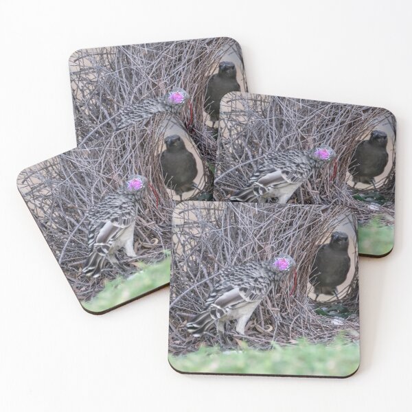 Item preview, Australian Native Birds - Great Bowerbird designed and sold by Ozjanette90.