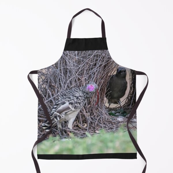 Item preview, Australian Native Birds - Great Bowerbird designed and sold by Ozjanette90.