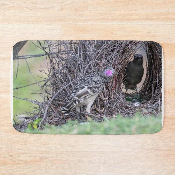 Item preview, Australian Native Birds - Great Bowerbird designed and sold by Ozjanette90.