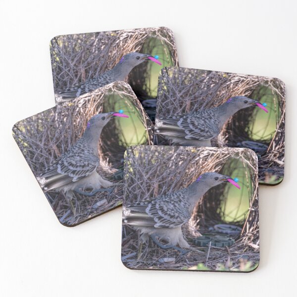Item preview, Australian Native Birds - Great Bowerbird designed and sold by Ozjanette90.