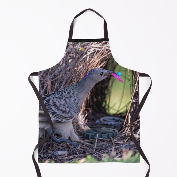 Item preview, Australian Native Birds - Great Bowerbird designed and sold by Ozjanette90.