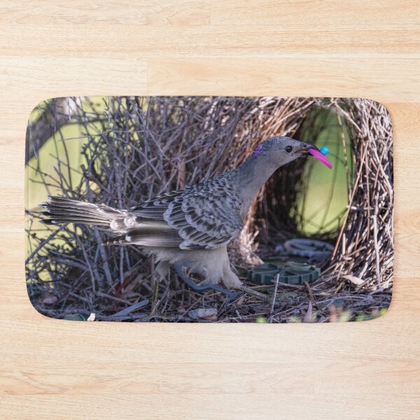 Item preview, Australian Native Birds - Great Bowerbird designed and sold by Ozjanette90.