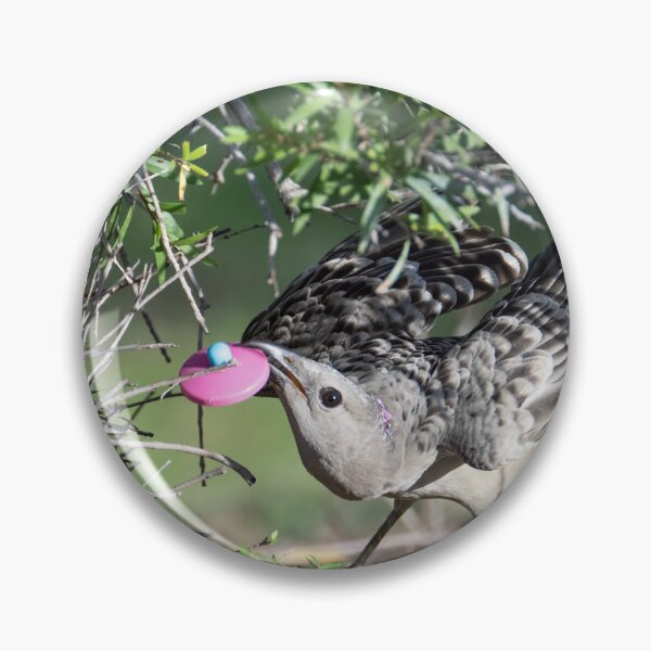Item preview, Australian Native Birds - Great Bowerbird designed and sold by Ozjanette90.