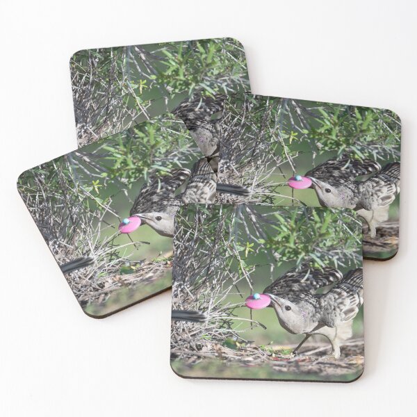 Item preview, Australian Native Birds - Great Bowerbird designed and sold by Ozjanette90.