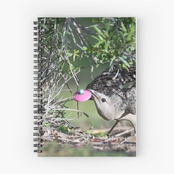 Item preview, Australian Native Birds - Great Bowerbird designed and sold by Ozjanette90.