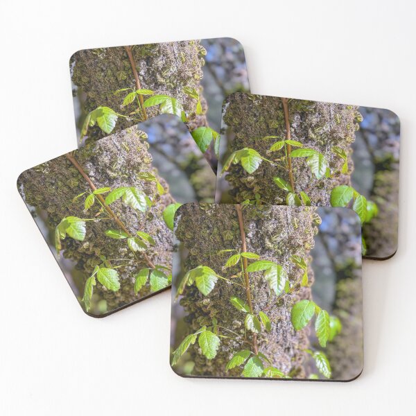 Item preview, Mossy Oak Vine designed and sold by Jess Reynolds.