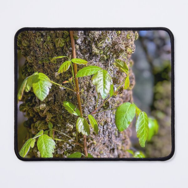 Item preview, Mossy Oak Vine designed and sold by Jess Reynolds.