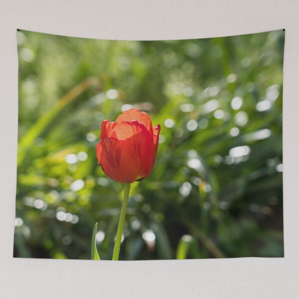 Item preview, Red Tulip Glowing in the Sunshine designed and sold by Georgia Mizuleva.