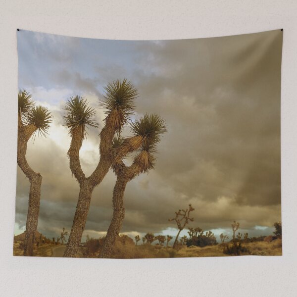 Item preview, Joshua trees designed and sold by MariannaPhotos.