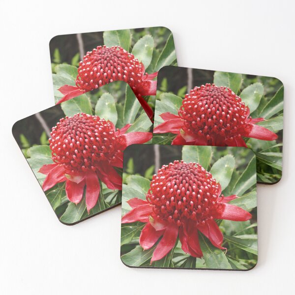 Item preview, Waratah  designed and sold by Pixxowl.