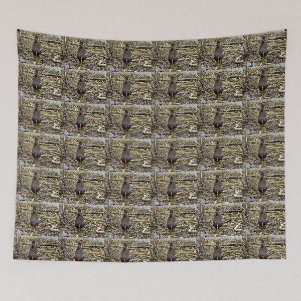 Item preview, moorehen designed and sold by KathleenDawson.