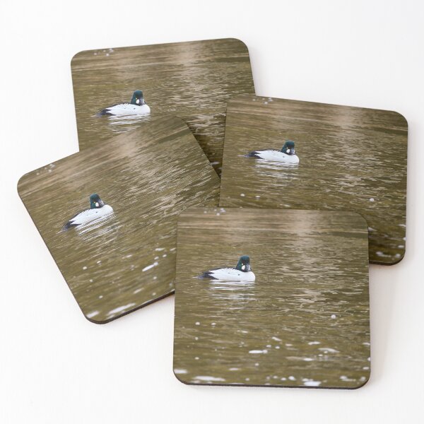 Item preview, Golden reflections. Common goldeneye designed and sold by Jouko Lehto Photography.