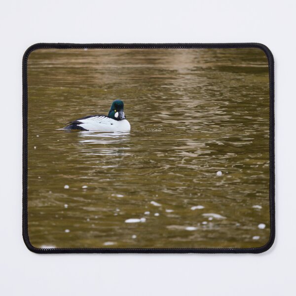 Item preview, Golden reflections. Common goldeneye designed and sold by Jouko Lehto Photography.