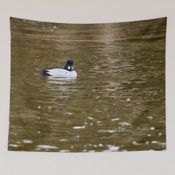 Item preview, Golden reflections. Common goldeneye designed and sold by Jouko Lehto Photography.