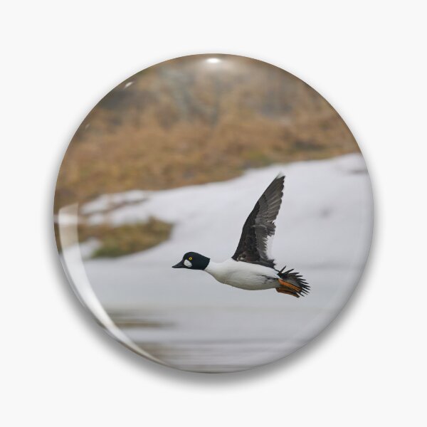 Item preview, Change of place. Common goldeneye designed and sold by Jouko Lehto Photography.