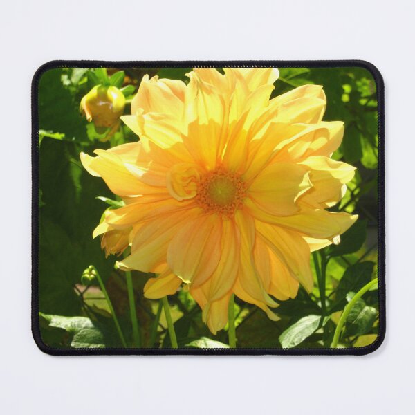Item preview, Dalia amarilla dorada a la luz del sol y la sombra designed and sold by JoyousArt4u.
