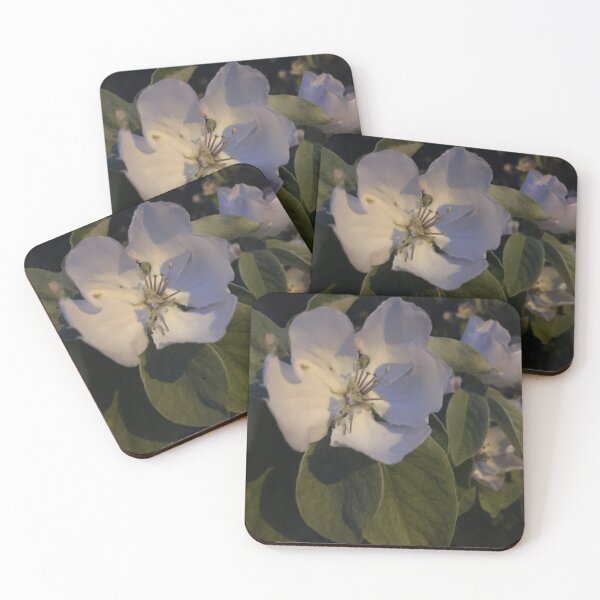 Item preview, Flowers of spring in the garden * BIPHOTO  designed and sold by BIPHOTONEWS.
