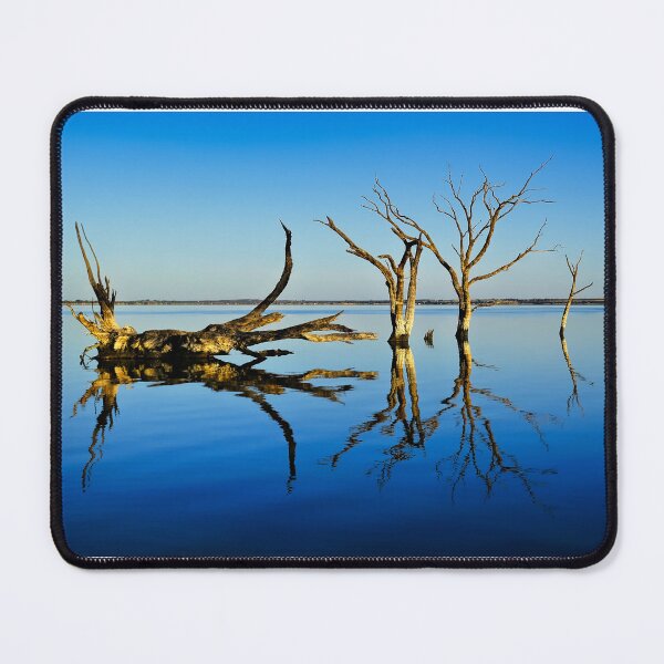 Item preview, Tree Skeletons  Bonney Sunrise - Australia designed and sold by Lexa Harpell.